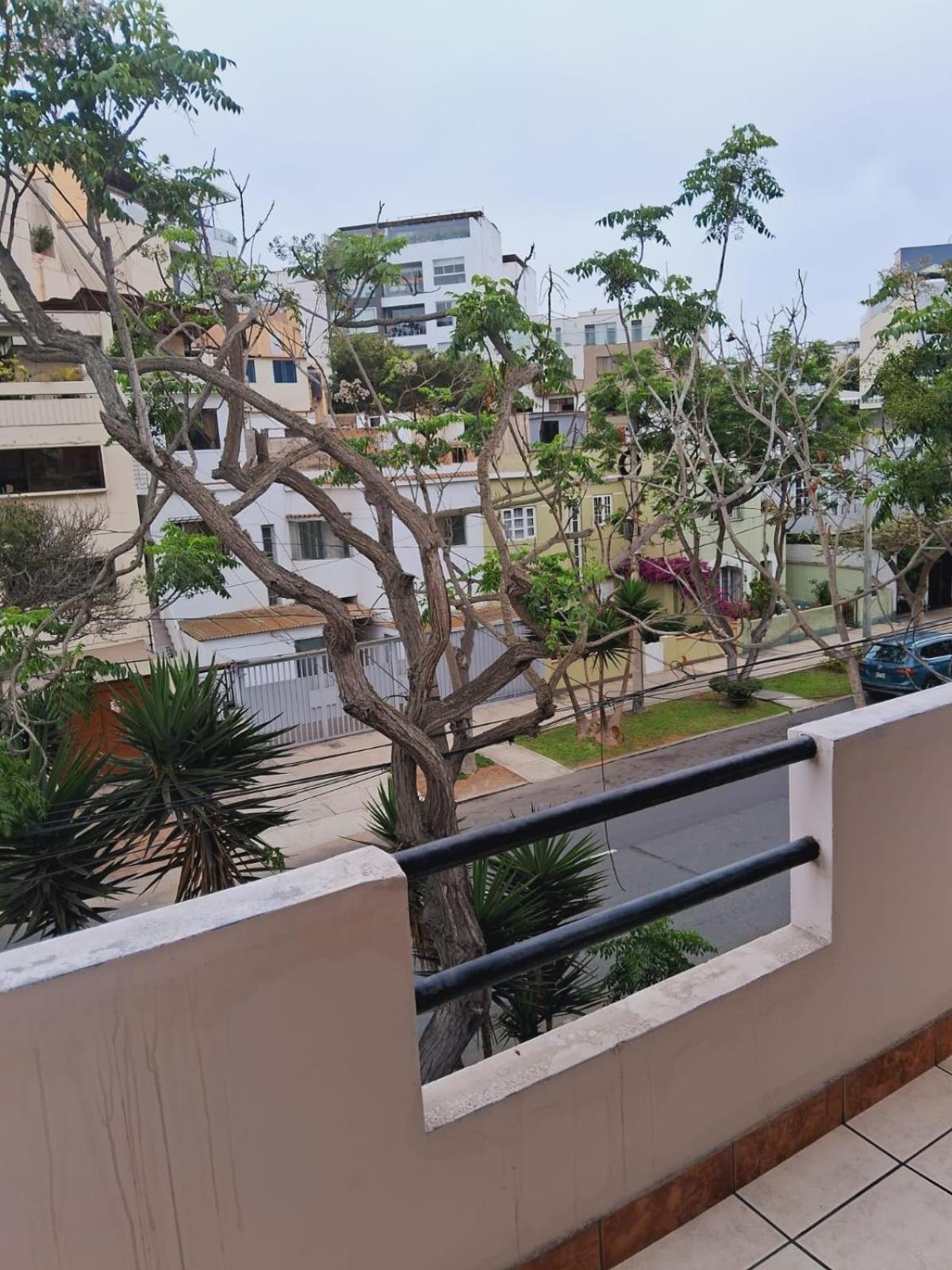 Temazcal Hostel ليما المظهر الخارجي الصورة