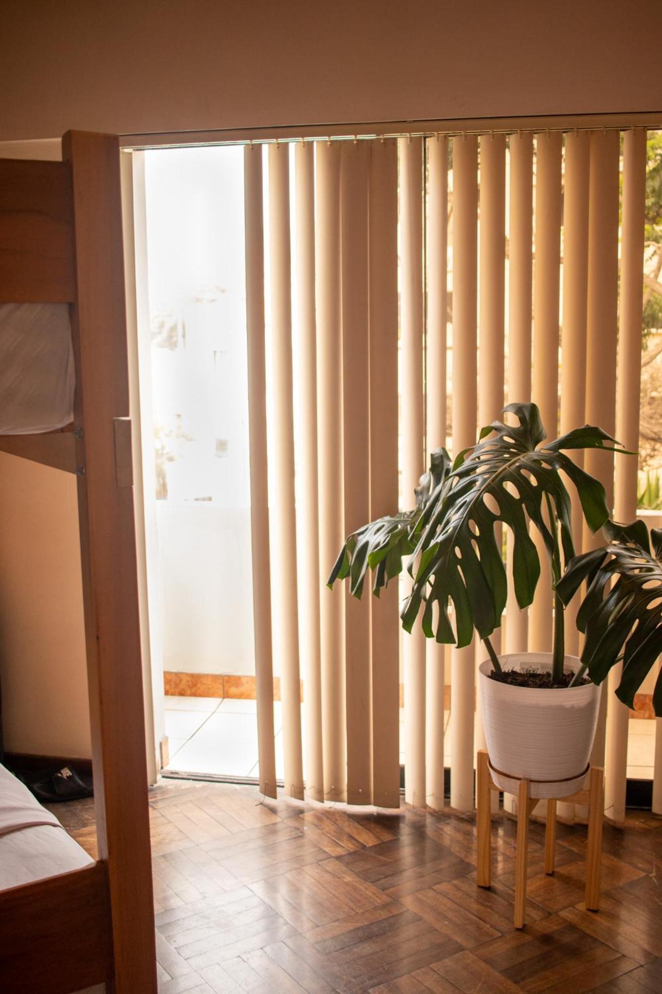 Temazcal Hostel ليما المظهر الخارجي الصورة