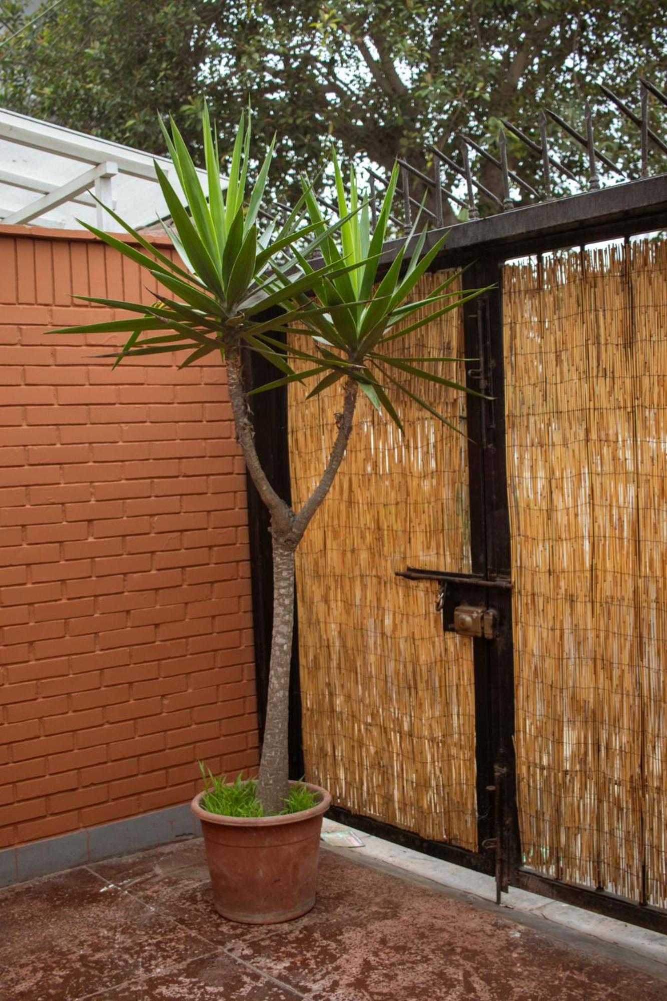Temazcal Hostel ليما المظهر الخارجي الصورة