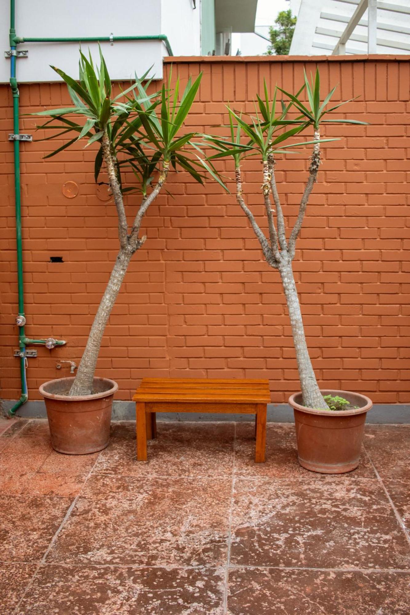 Temazcal Hostel ليما المظهر الخارجي الصورة